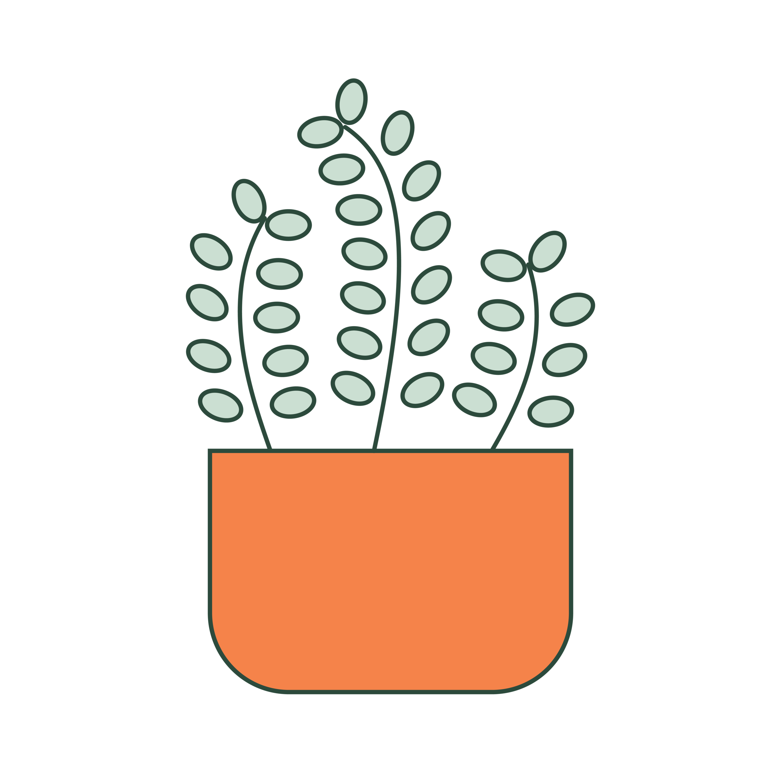 Illustration of a potted plant with oval leaves in an orange pot.